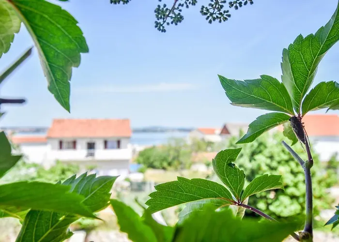 Tarragon Ugrinići